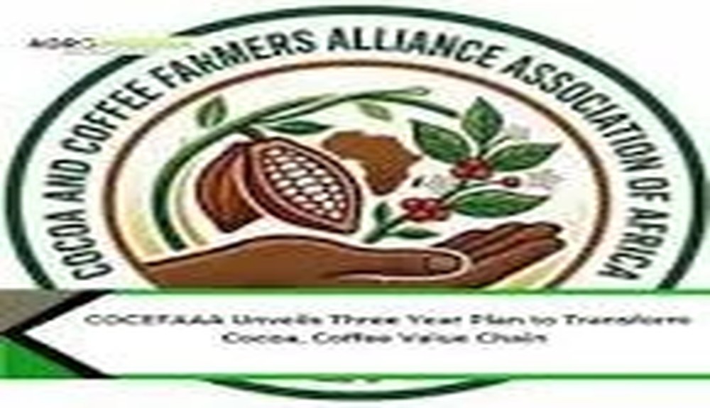 African Cocoa Farmers Warn of Growing Impact of Price Volatility on Sector Growth
