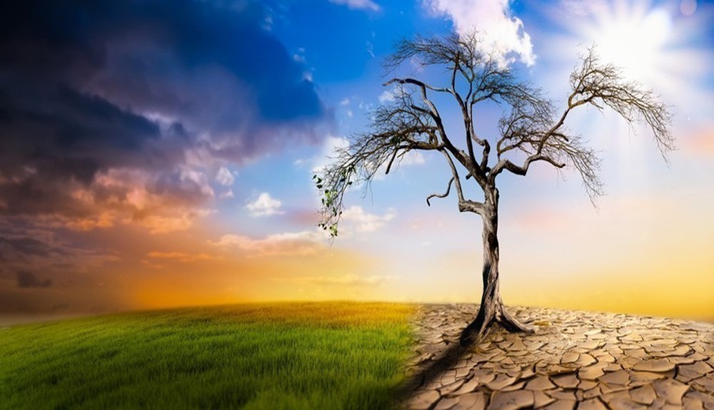 Climate Change Poses Serious Threat to Food Supply and National Security, FG Warns
